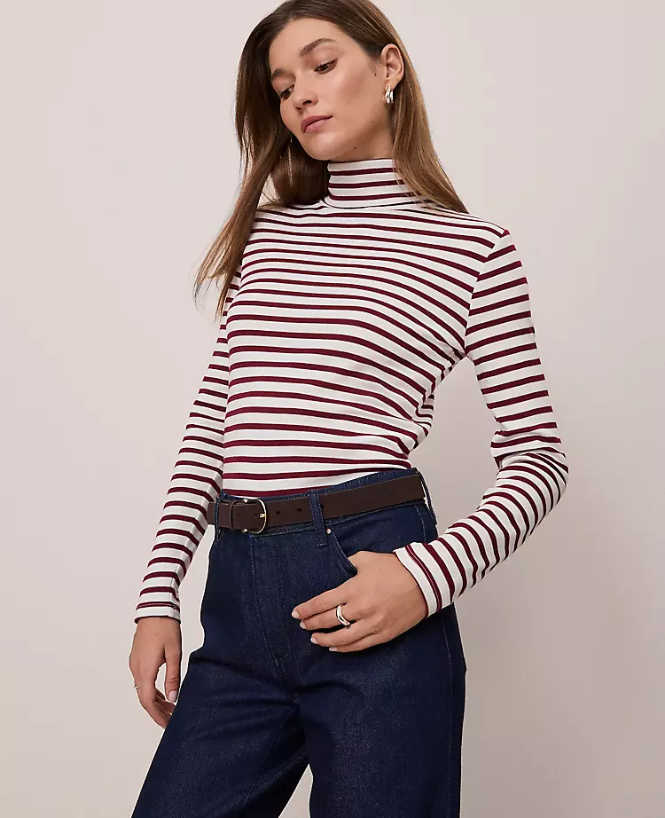 Petite Weekend Collection Striped Turtleneck Top