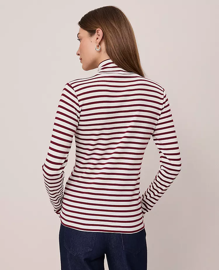 Petite Weekend Collection Striped Turtleneck Top