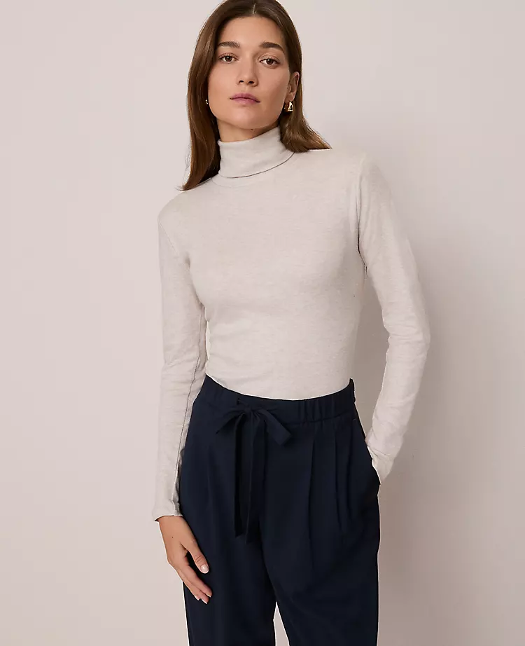 Petite Weekend Collection Turtleneck Top