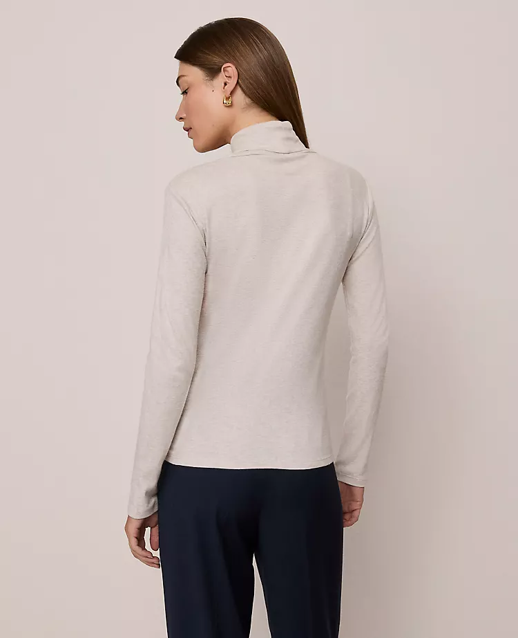Petite Weekend Collection Turtleneck Top