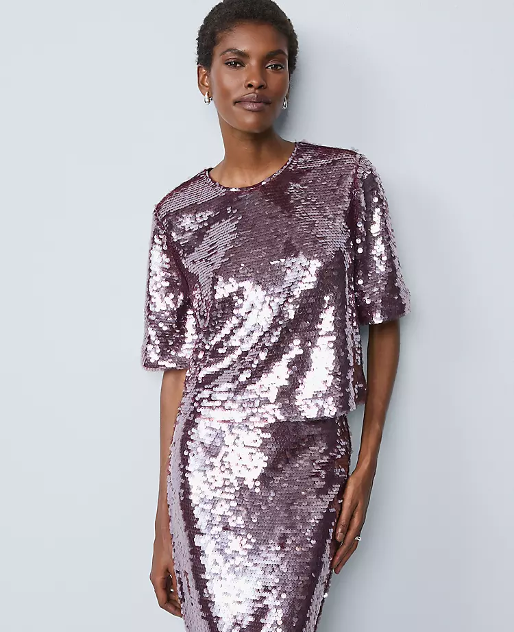 Sequin Crew Neck Blouse