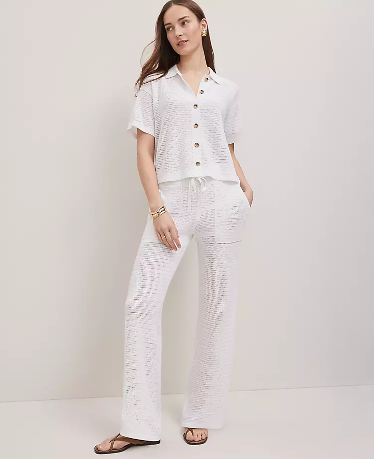 Petite Weekend Collection Mesh Sweater Pant
