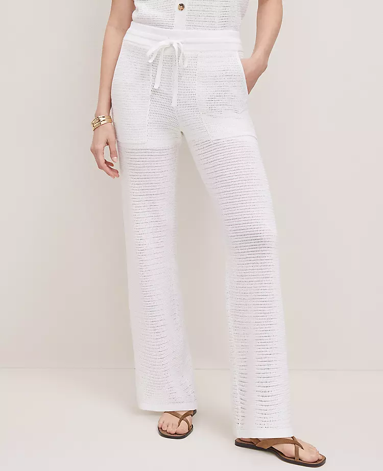 Petite Weekend Collection Mesh Sweater Pant