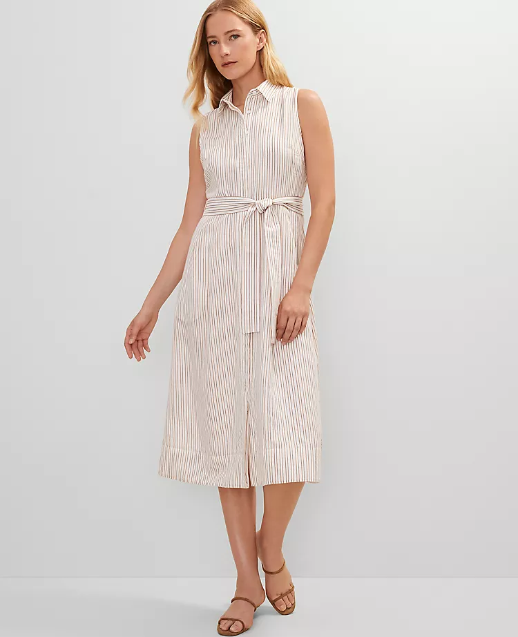Petite Striped Flare Midi Shirtdress