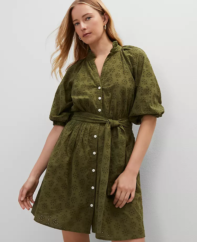 Petite Eyelet Ruffle Neck Flare Dress