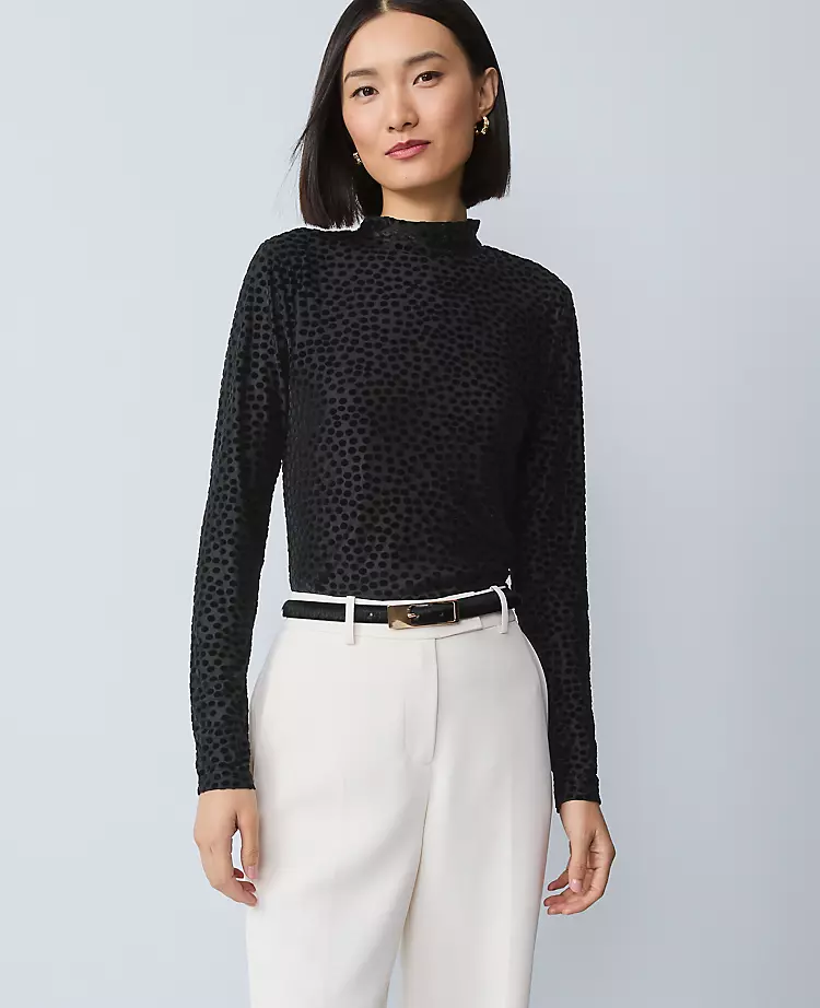 Velvet Mock Neck Top