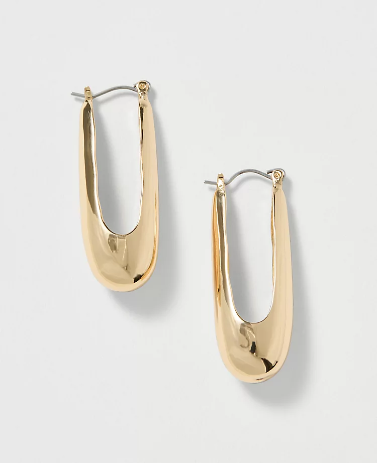 Elongated Metal Hoop Earrings