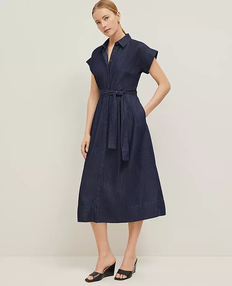 Petite Chambray Flare Midi Shirtdress