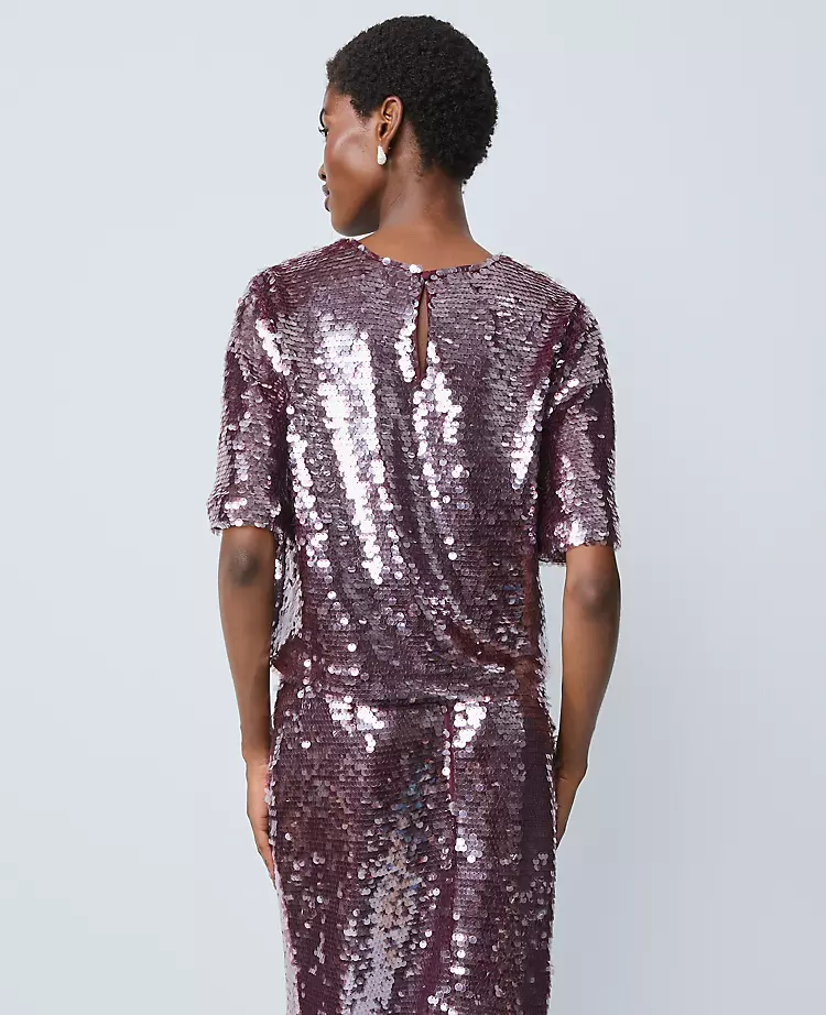 18384-Petite-Sequin-Crew-Neck-Blouse-2.webp Petite Sequin Crew Neck Blouse
