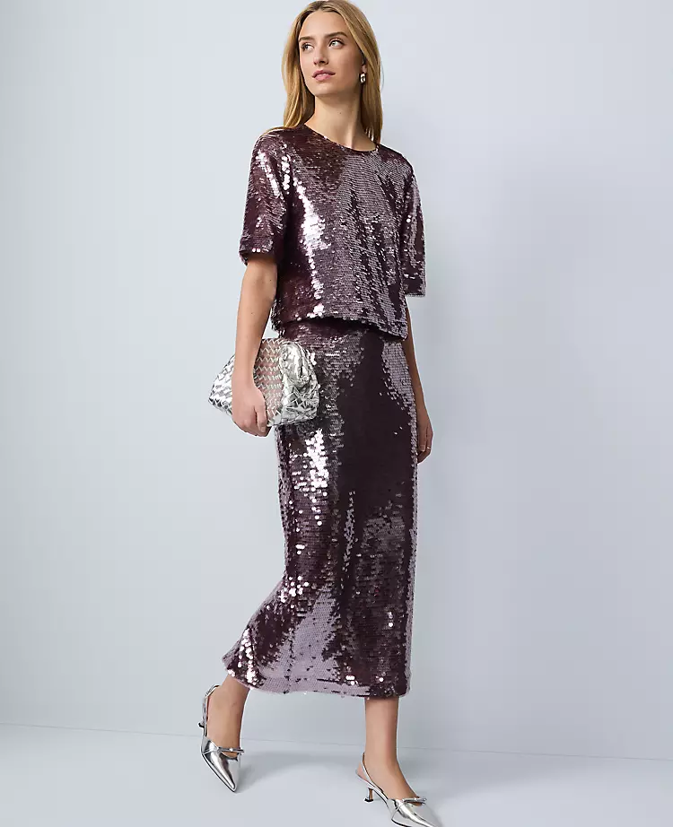 18384-Petite-Sequin-Crew-Neck-Blouse-3.webp Petite Sequin Crew Neck Blouse