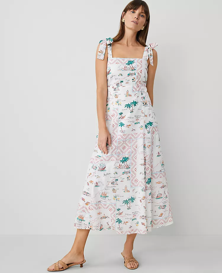 6404-Map-Print-Flare-Dress-1.webp Map Print Flare Dress