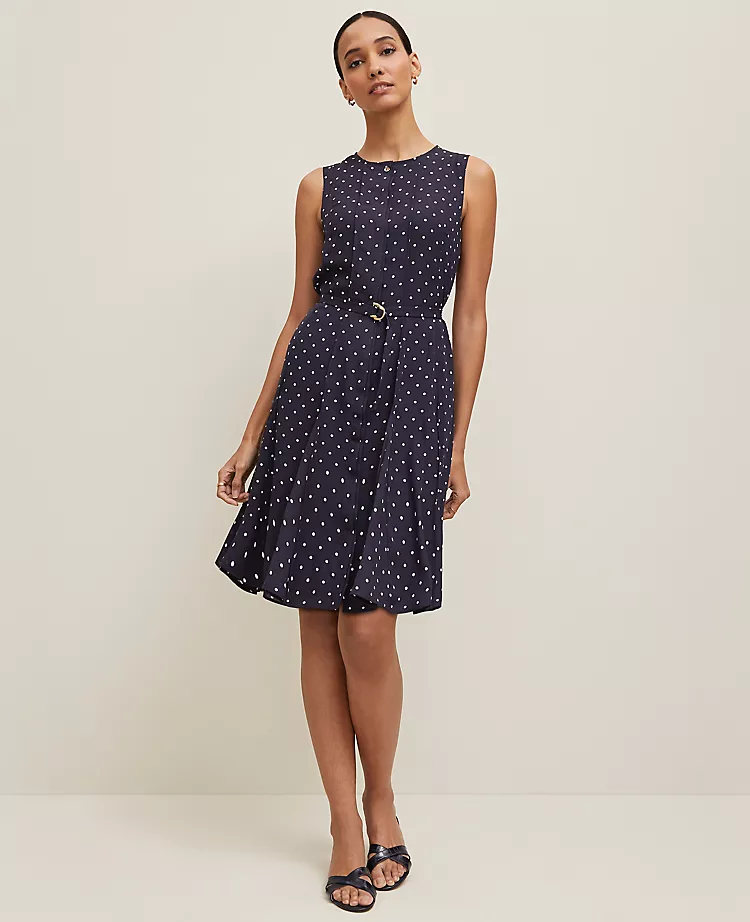 Dotted Belted Flare Dress