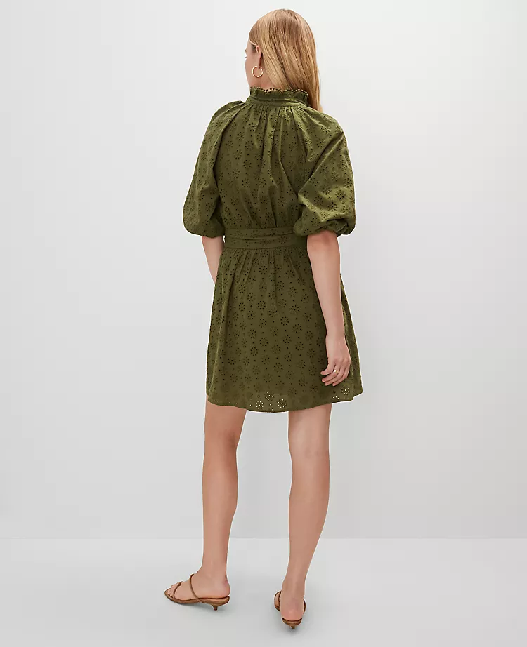 Eyelet Ruffle Neck Flare Dress