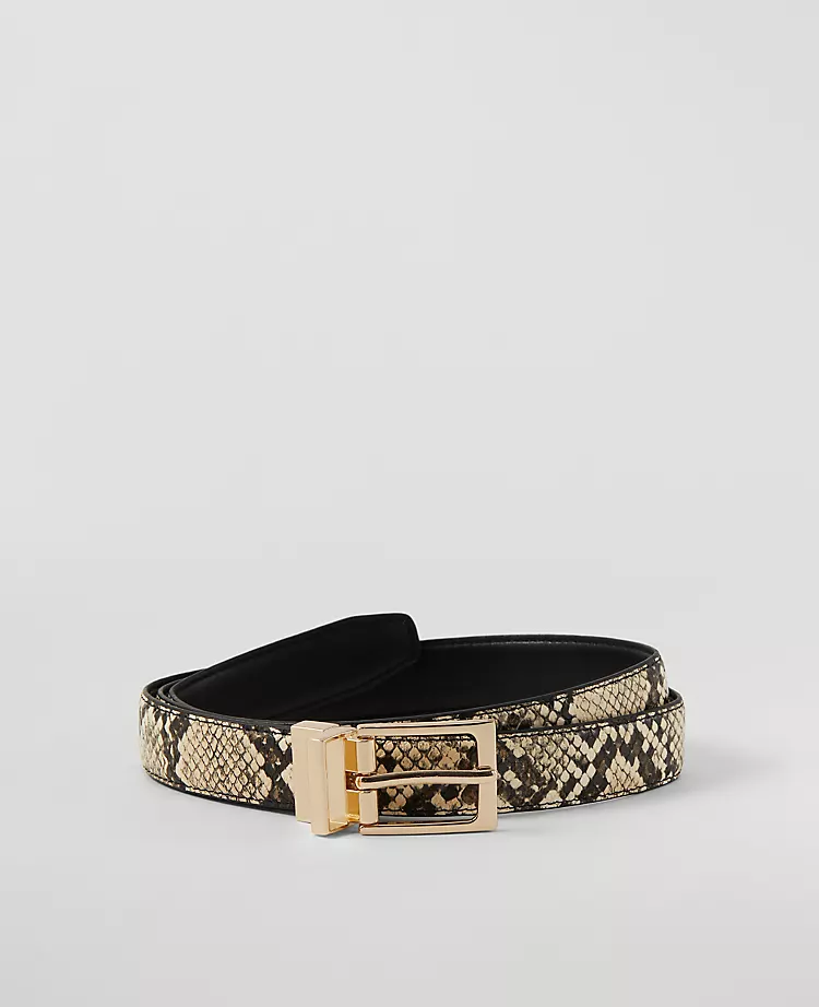 Reversible Belt
