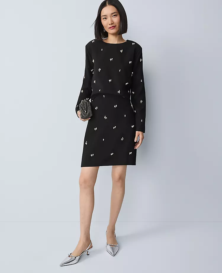 Embellished A-Line Skirt