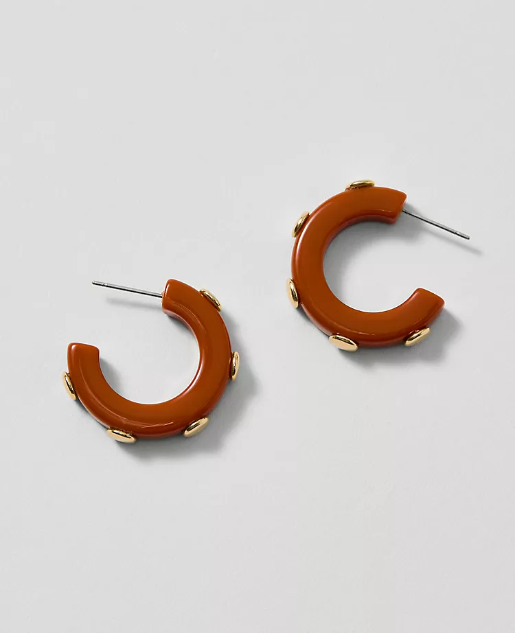 Studded Mini Hoop Earrings
