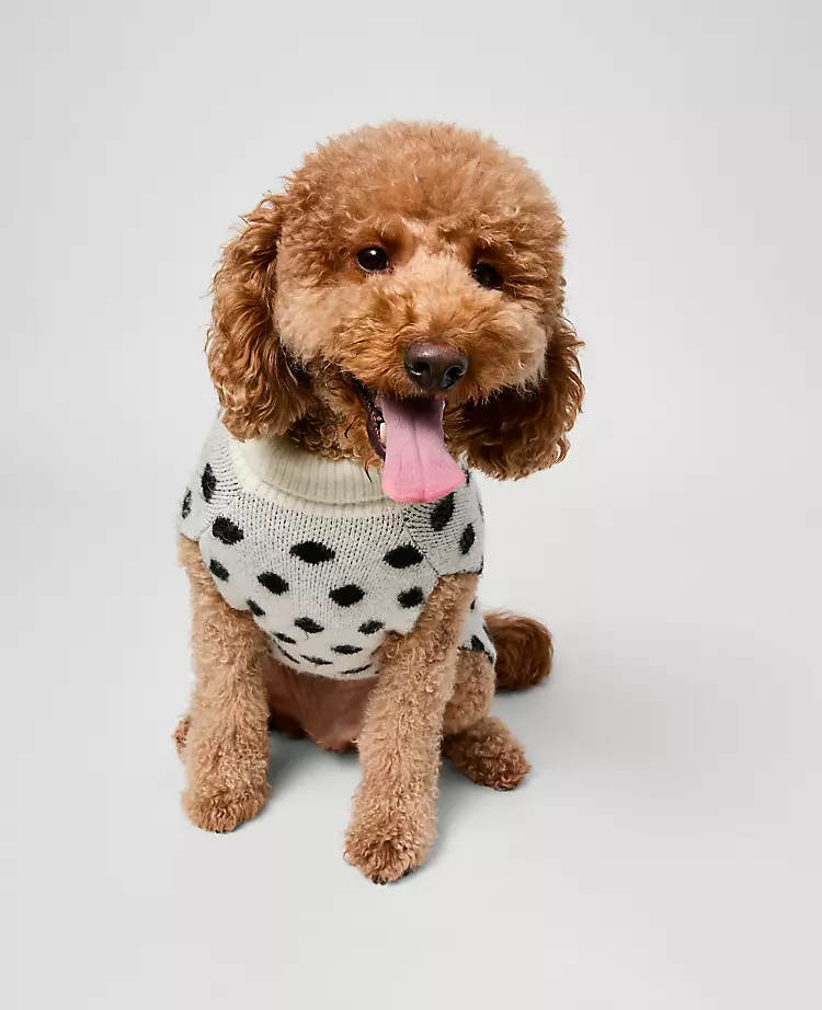 Dotted Dog Sweater